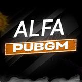 ALFA PUBG N1