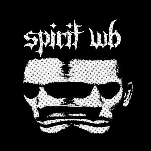 Spirit WB | Переходник