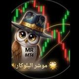 ✨🎯◤ قـنـاة مـؤشـر الـبـلـوكـر 👑 𝐁𝐋𝐎𝐂𝐊𝐄𝐑 ◢🔴👑 ✨