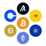 Crypto shiller 13