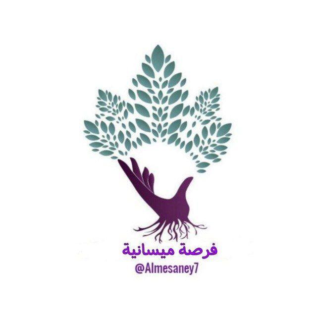 فرصة ميسانية