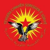 Ragihandina Ciwanên Şoreşger إعلام الشبيبة الثورية
