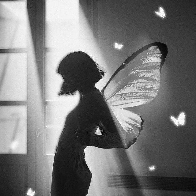 🤍🦋