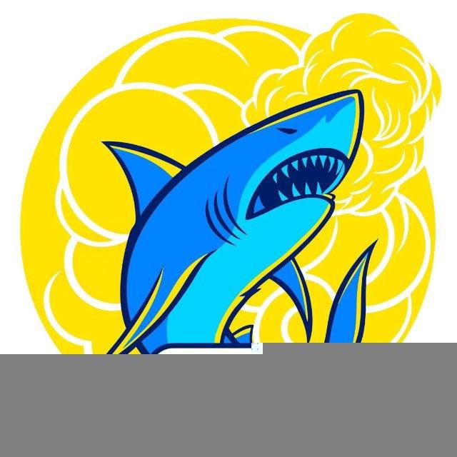 🦈SHARKOPT🦈