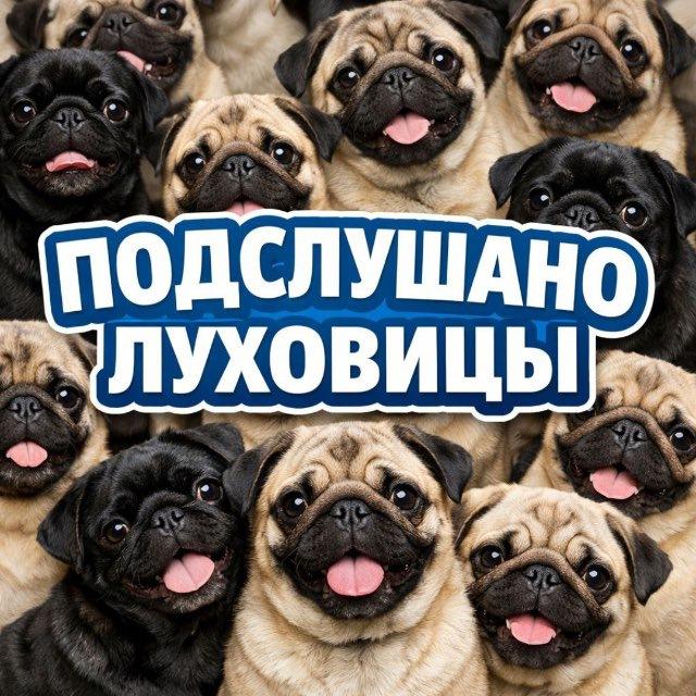 ПОДСЛУШАНО ЛУХОВИЦЫ