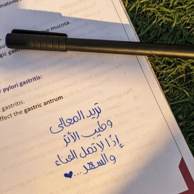 Doaa Al-Afandi 🌱