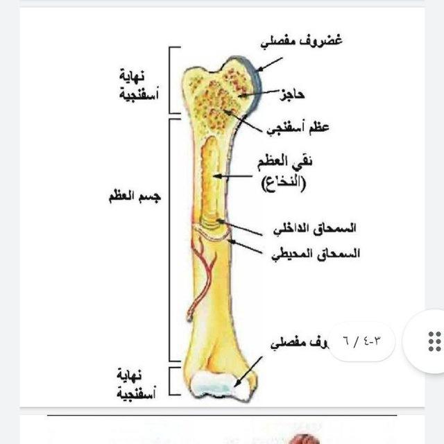 قناة صف ثالث متوسط اسئله وزاريه
