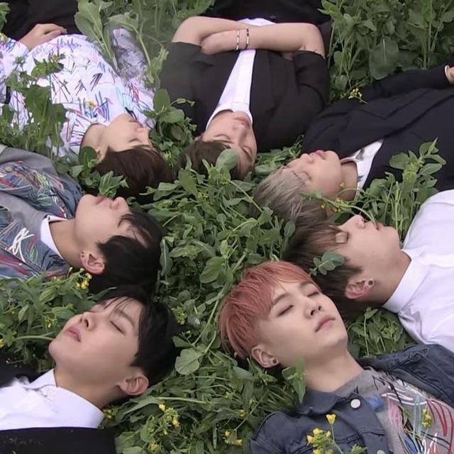 🫧 ৶ BTS