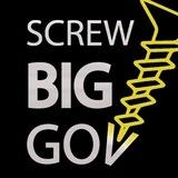 ScrewBigGov.com - Lewis Herms (Next Governor of California)