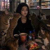 🐆