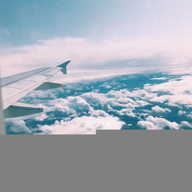 Pimmigration