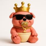 ZORGY KINGDOM