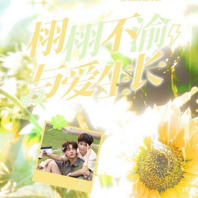 🌽 𝐒𝐰𝐞𝐞𝐭-𝐂𝐨𝐫𝐧 𝐏𝐚𝐫𝐚𝐝𝐢𝐬𝐞 🌽💛