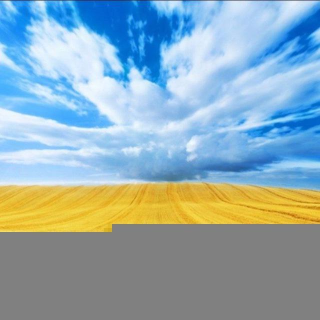 Простір Єдності Пологівського району «ДОПОМОГА ПОРУЧ»