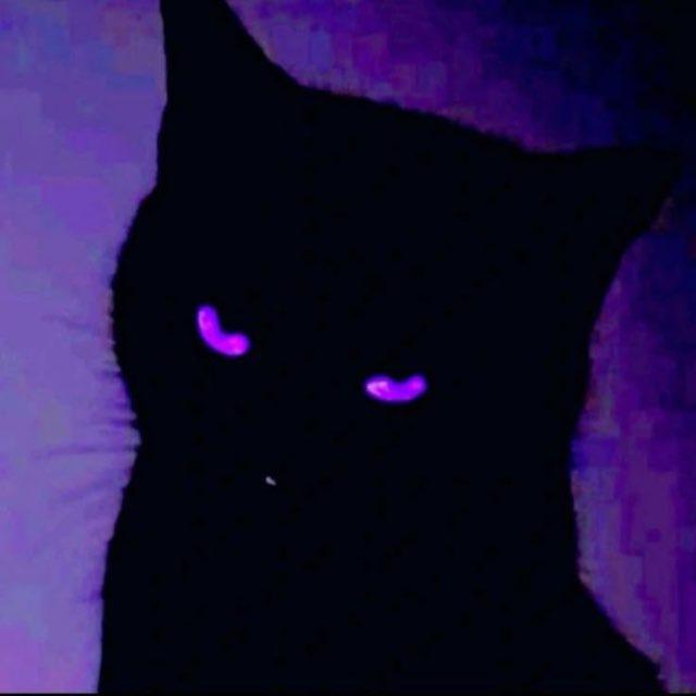 unsynned [alphas]