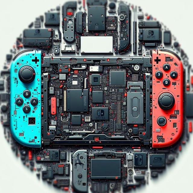 Прошивка Nintendo Switch (чиповка) ВОРОНЕЖ