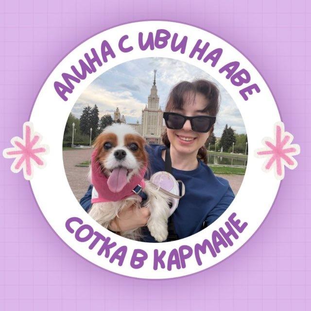 английский и котики / ЕГЭ 2026 / стадикэтс