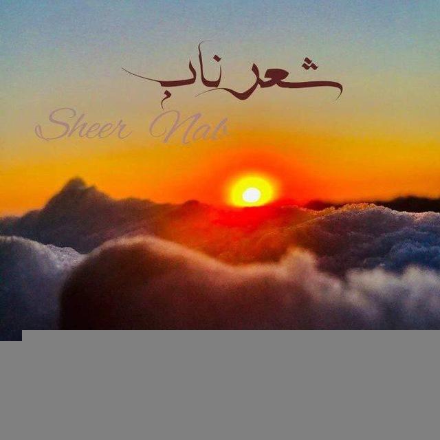 🥀◞ شـ,ـعـ,ـر نـ,ـآبـ,ـ 🖤
