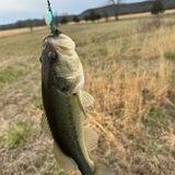 Bear Tooth Bayou Outdoors