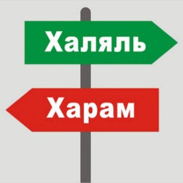 Халяль надзор. Будь в курсе! ☪️