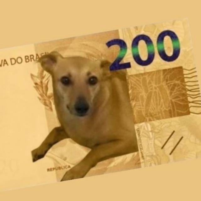 CORREIO REAU| Notícias/Anúncios