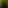 𝖱єѕℓєєνє∂ иєт🇿🇼