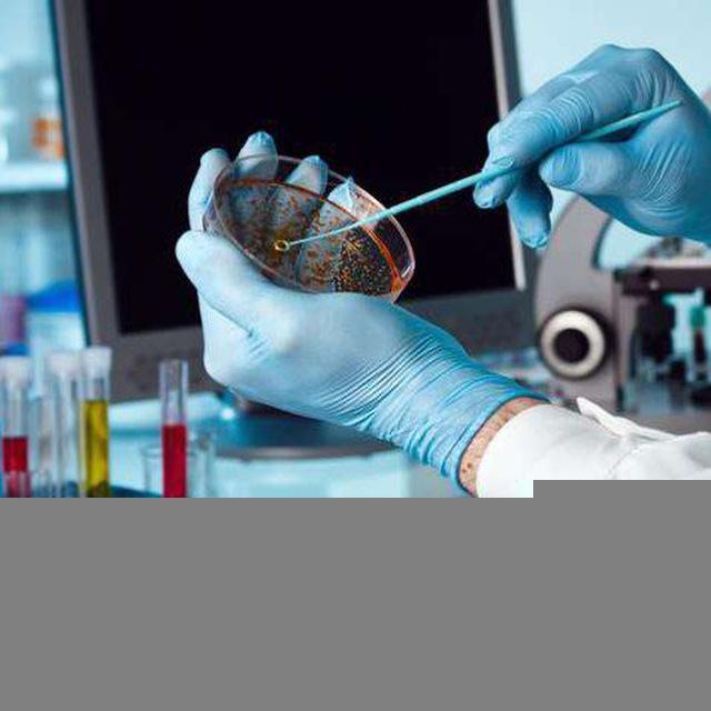 أسياد المختبر 🔬✨