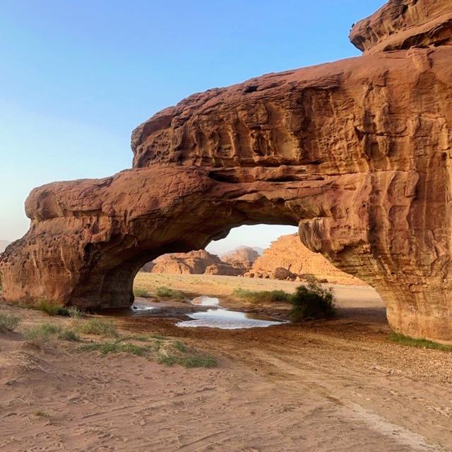 اللحـــيه الغانـــمه