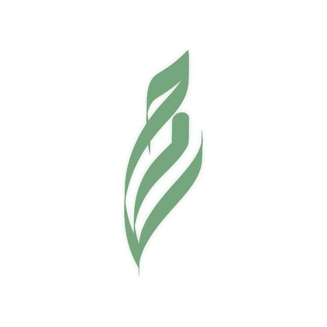 روح 🌿💛 تحضيري طيبة 46