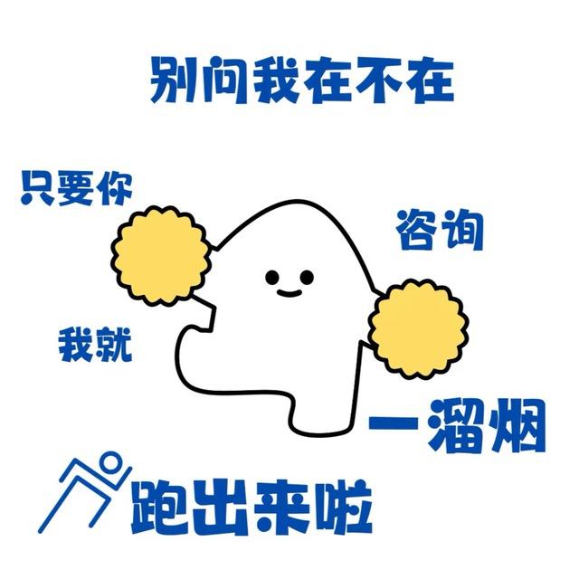 代办护照签证-东南亚小路专线 @YY9027