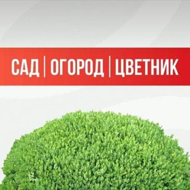 Сад Огород Цветник
