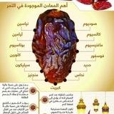 🌴🌱 معلومات زراعيه🌱🌴