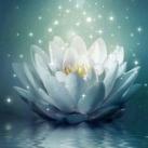 ✨ Seja Luz ✨🦋