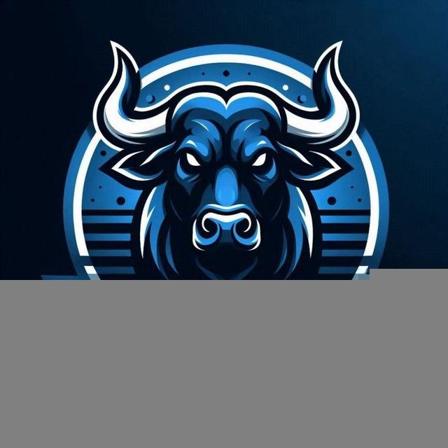 Battle Bulls Latino America