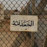 ‏ސاމ ✨³¹³