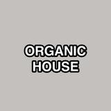 Top Organic House Music