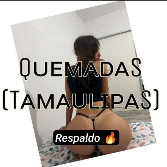 TAMPS 🔥 (respaldo)