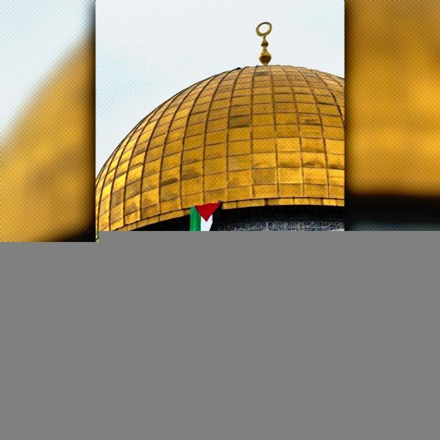 قصة وطن🕊️🇵🇸،
