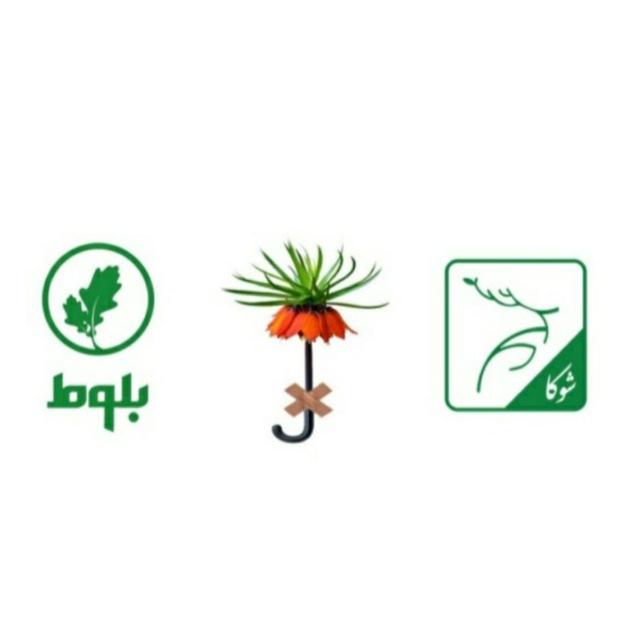 طرح‌های نوین بیمه البرز