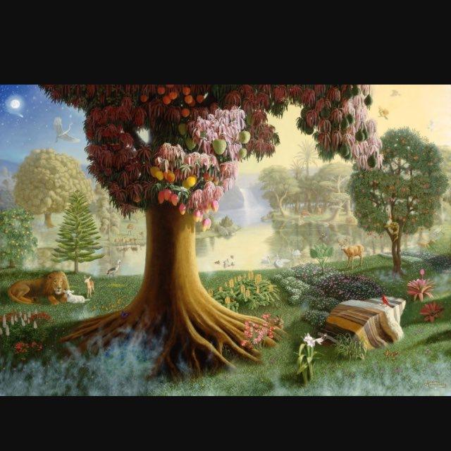 Elettrocolturasinergica⚡️🌱
