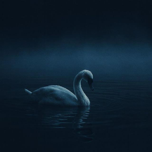 WeeAlone