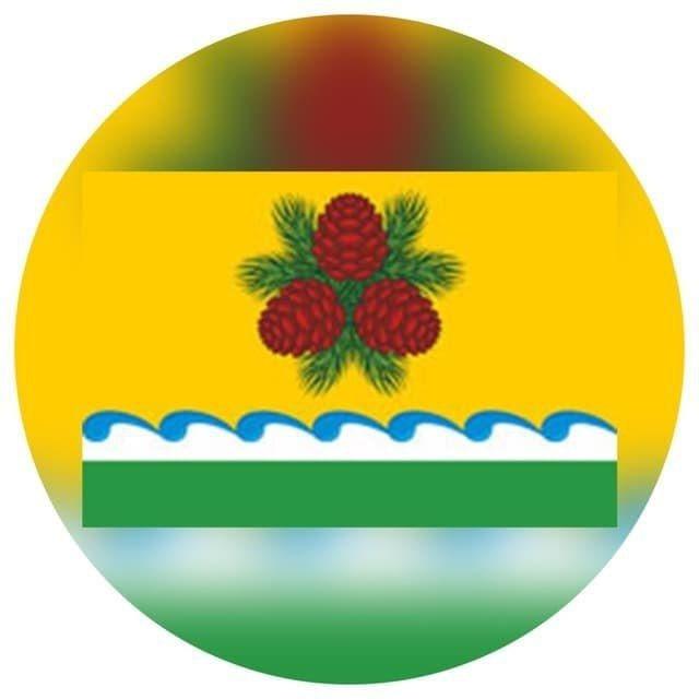 Чойский район