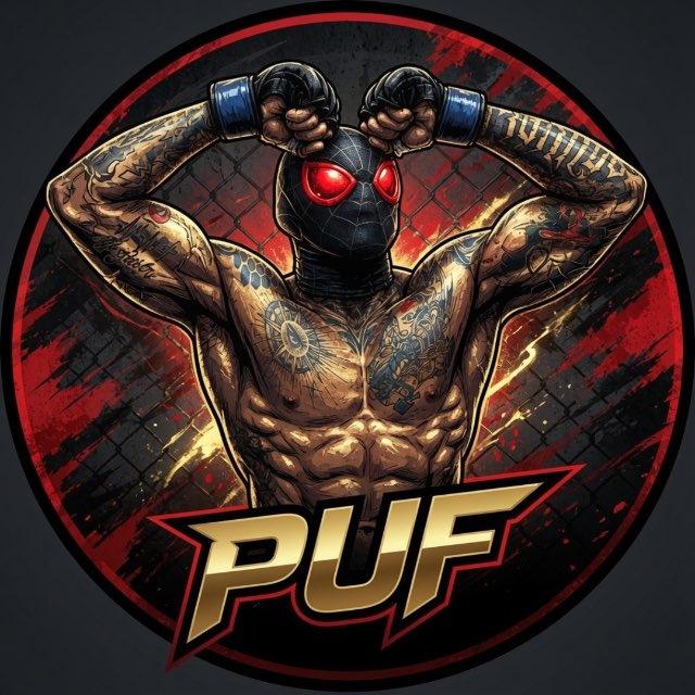 PRO UFC | FIGHT