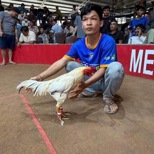 ទ្រុងបង្កាត់ ភ្នំជីសូរ