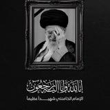 ابناء المقاومة 𝟑𝟏𝟑 ☫.