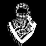 صدای امت