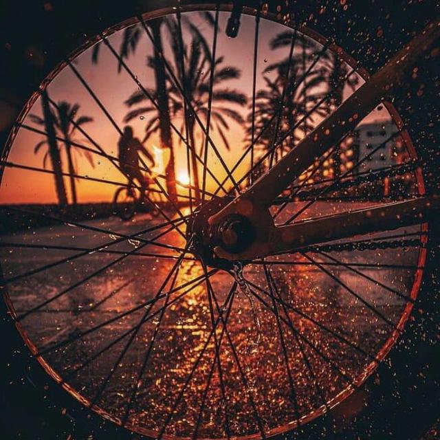 Amazing photos