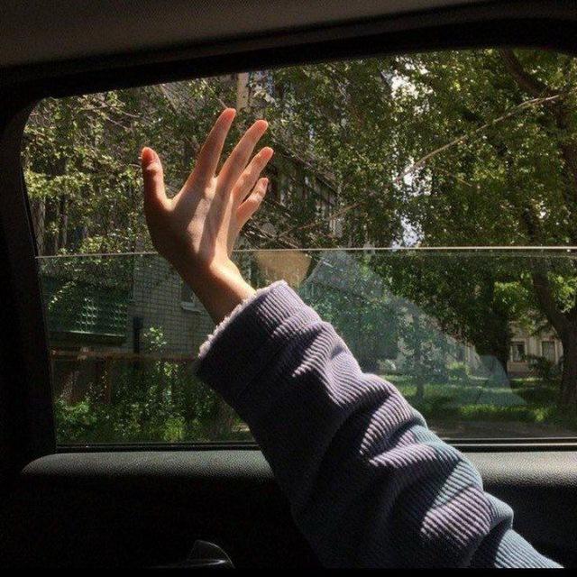 .• ملخصات السادس علمي𓇼