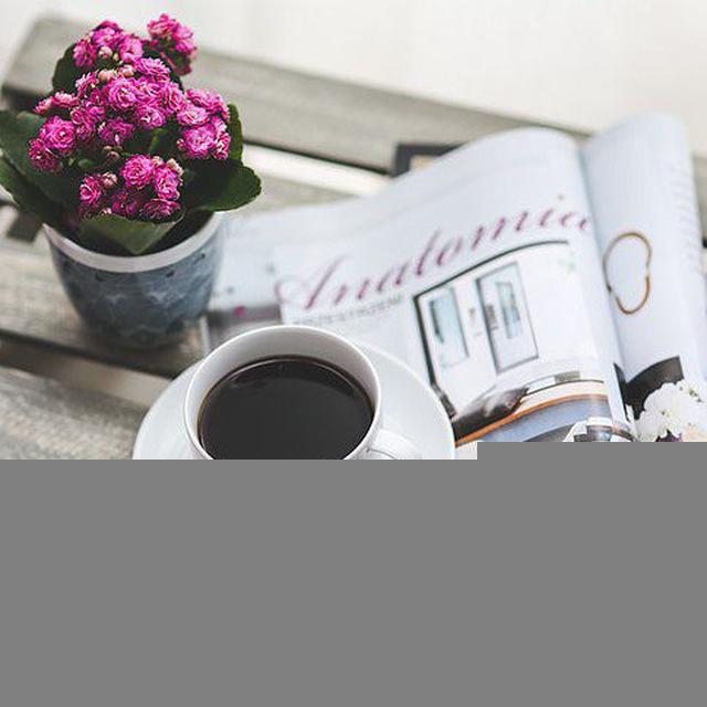 Daily Articles