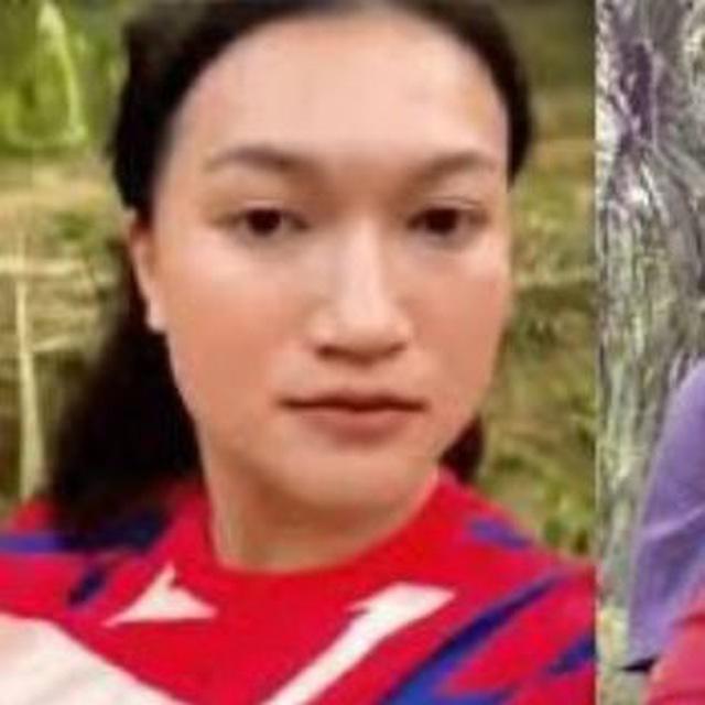 kebun sawit viral video kebun sawit viral di kebun sawit video viral crypto